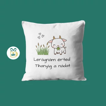 Lerágnám érted Tihanyig a nádat - 40x40 mintás párna béléssel