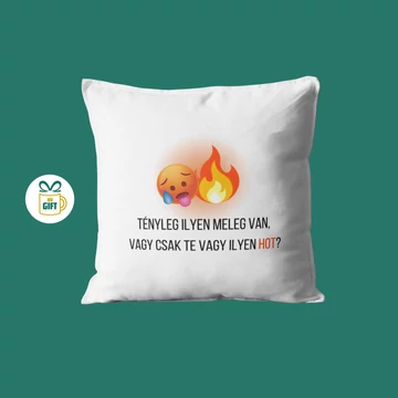 Tényleg ilyen meleg van, vagy csak te vagy ilyen hot? - 40x40 mintás párna béléssel