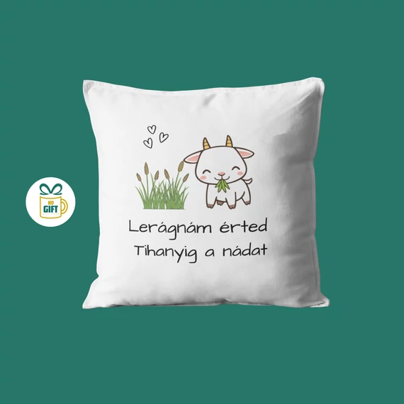 Lerágnám érted Tihanyig a nádat - 40x40 mintás párna béléssel